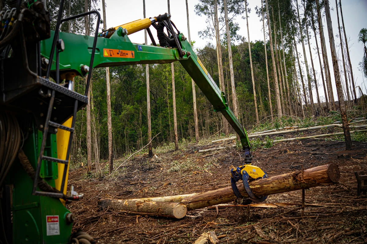 Mercado florestal debate qualidade no carregamento de madeira Este foi um dos temas debatidos no GT Colheita Florestal, que reuniu várias empresas do setor no Rio Grande do Sul