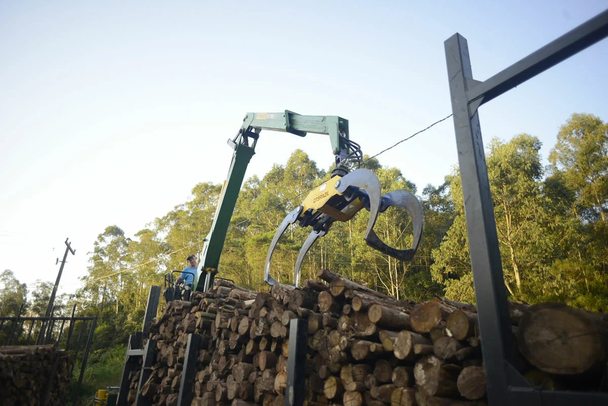 Tecnologia florestal: Brasil se mantém como referência mundial no setor Enquanto o Canadá apresenta fortes soluções de mecanização da colheita, nossas tecnologias avançam desde o aprimoramento genético e a produção de mudas