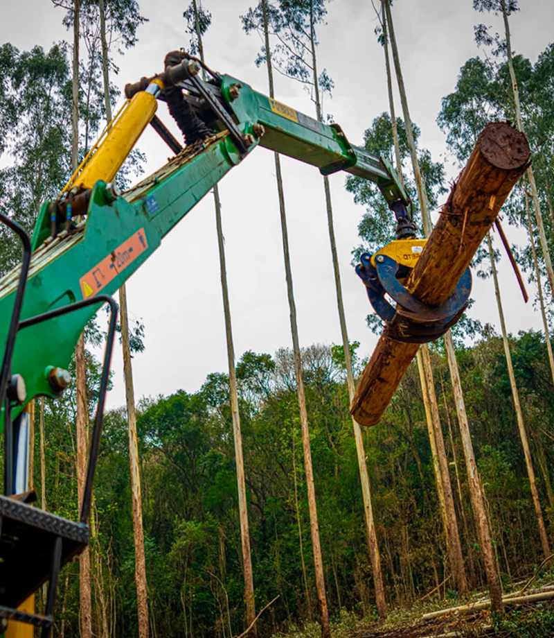 QTBRAZIL Implementos - Soluções para aplicações Florestais e Sucateiras Grua Florestal QT 12000 Z.F.
